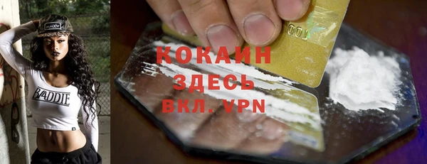 винт Верея