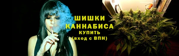 амф Бородино