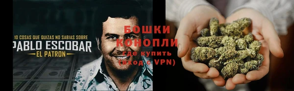 амф Бородино