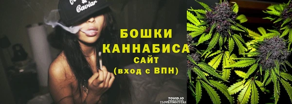 амф Бородино