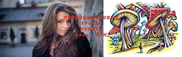 сатива Володарск
