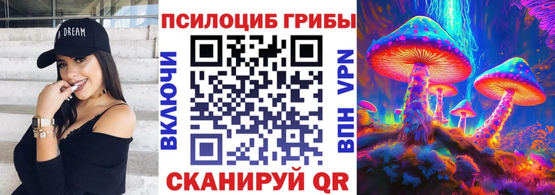 закладки  Дмитров  Псилоцибиновые грибы Psilocybe 